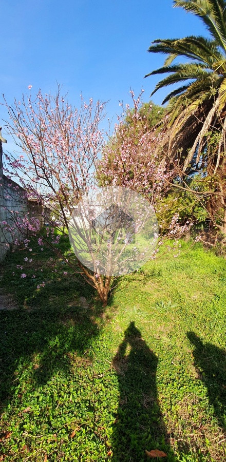 Casa ID.708 - Casa en Centro de San Carlos