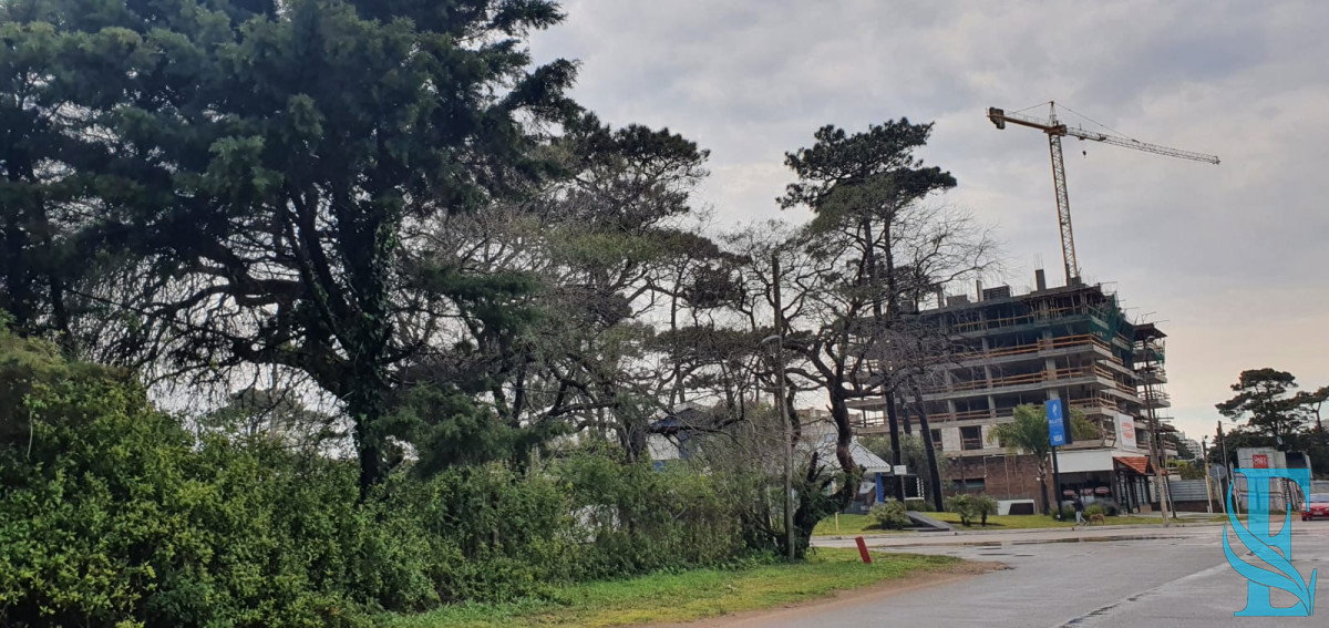 Casa ID.431 - Punta Este, zona Parada 5