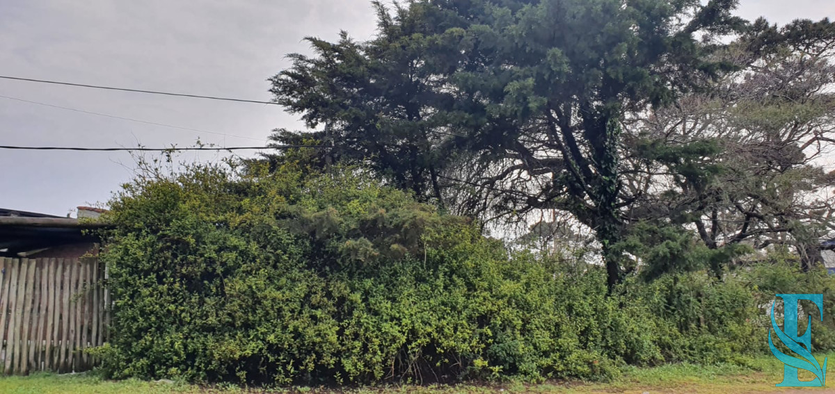 Casa ID.431 - Punta Este, zona Parada 5