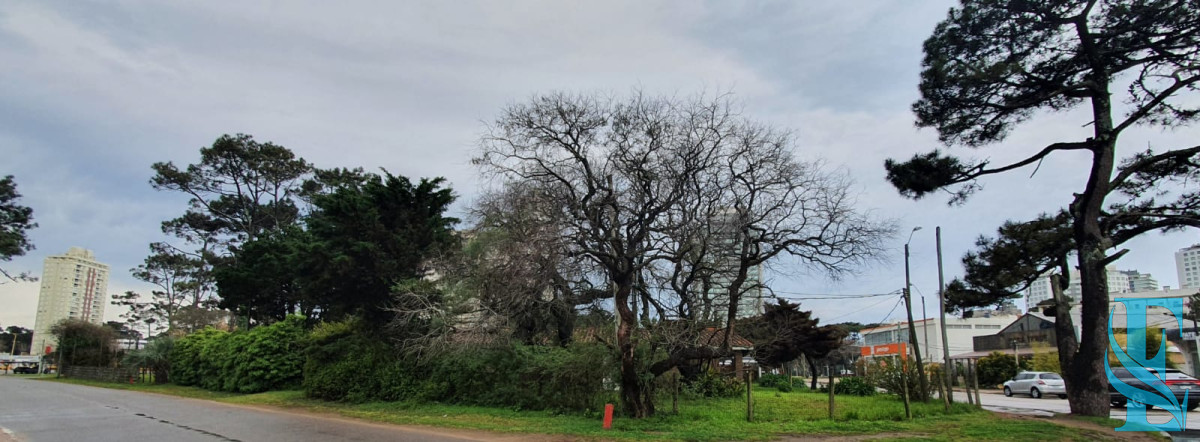 Casa ID.431 - Punta Este, zona Parada 5