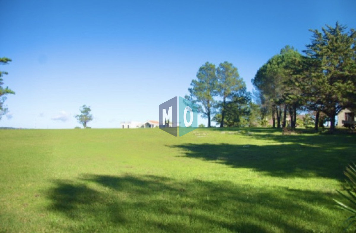 Chacra ID.432 - Espectacular chacra en Ruta 39 con 700 m2. construidos