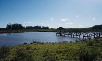 Espectacular chacra en Ruta 39 con 700 m2. construidos