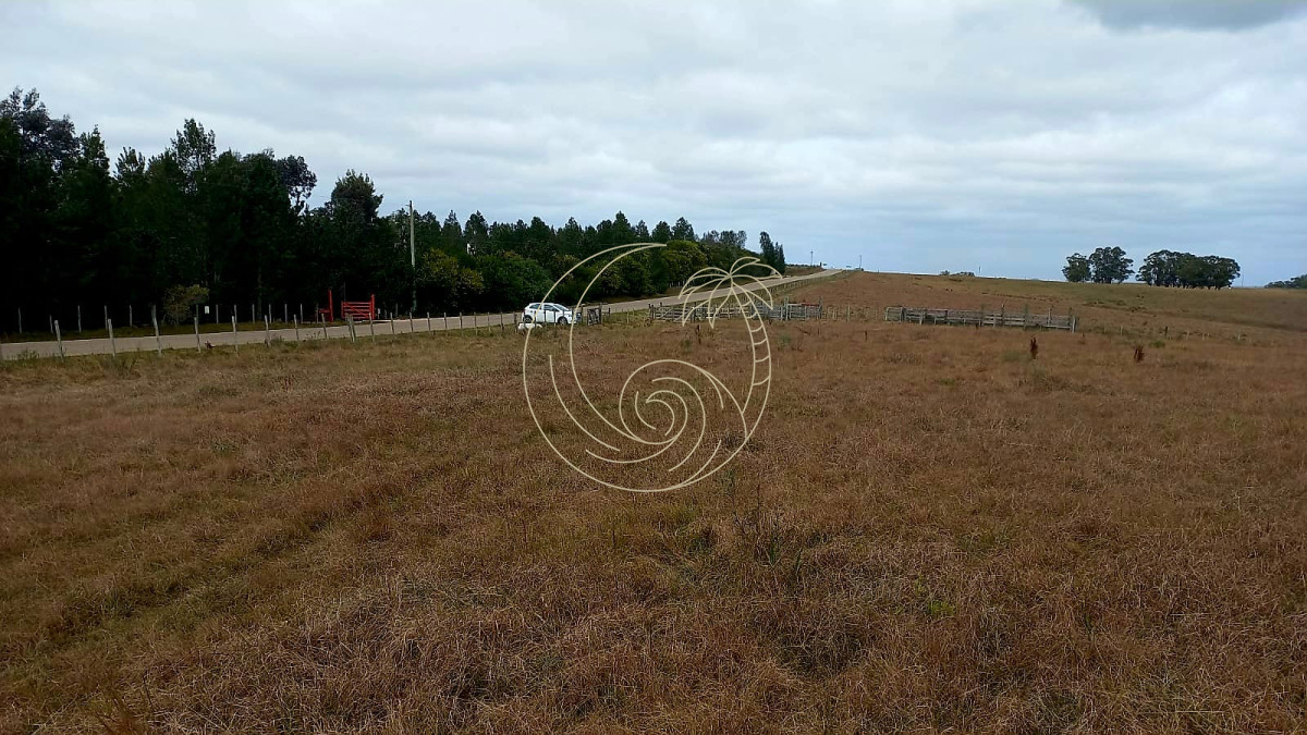 Campo Ref.21092739 - Campo de calidad a minutos de José Ignacio y Garzón