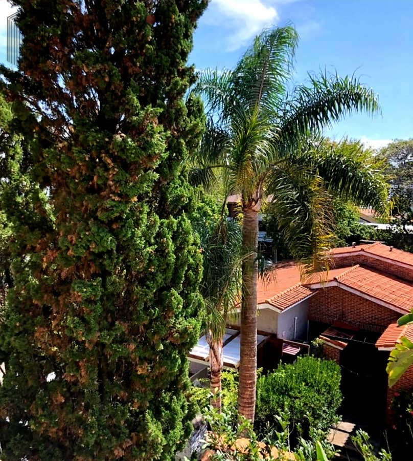 Apartamento ID.1097 - IV-Punta del Este