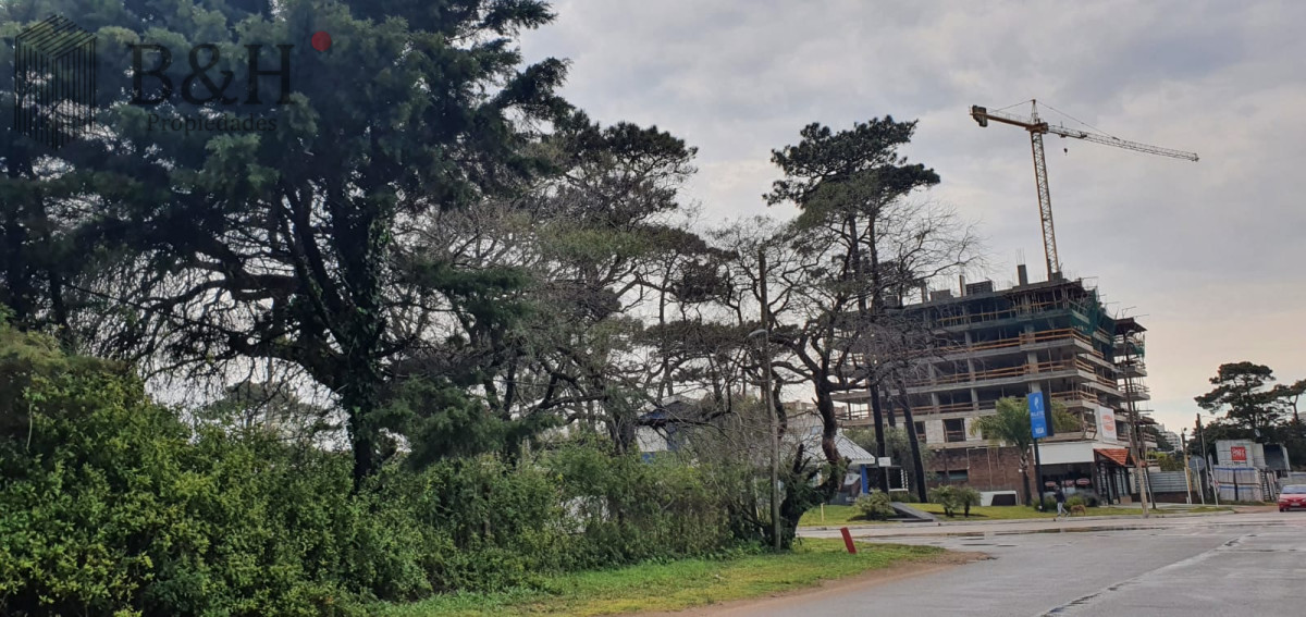 Casa ID.736 - Punta del Este, área comercial Pda. 5