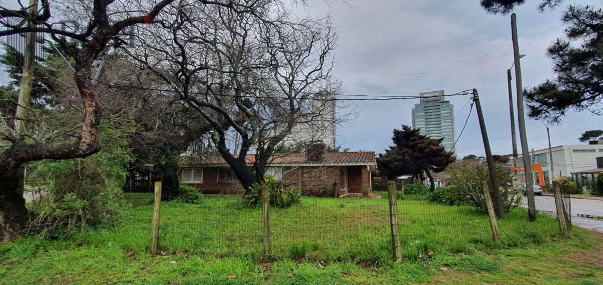 Casa ID.736 - Punta del Este, área comercial Pda. 5