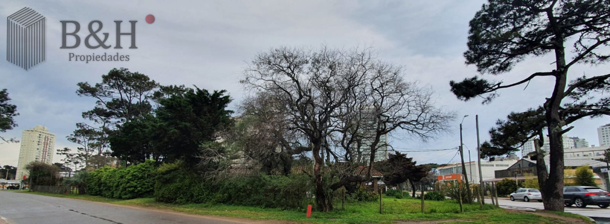 Casa ID.736 - Punta del Este, área comercial Pda. 5