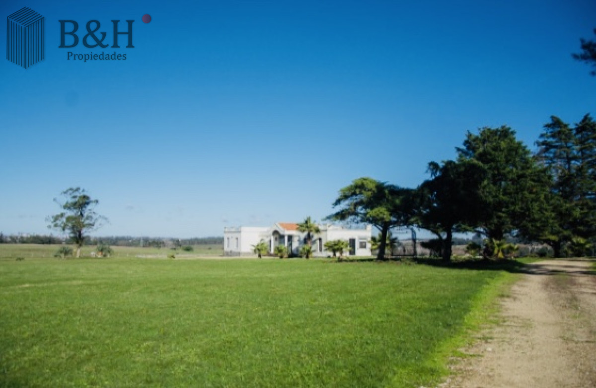 Chacra ID.1310 - Chacra importante en R. 39 con 700 m2. construidos