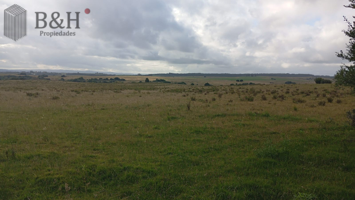 Campo Ref.6502 - Garzón (campo turístico)