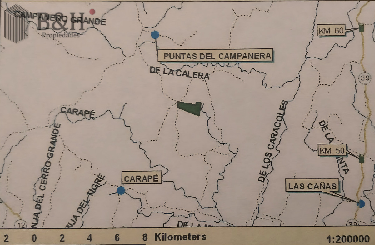 Campo Ref.6503 - Carapé Campo parcialmente forestado