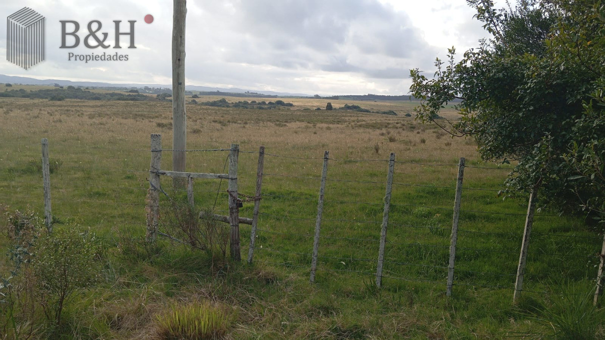 Campo Ref.6502 - Garzón (campo turístico)