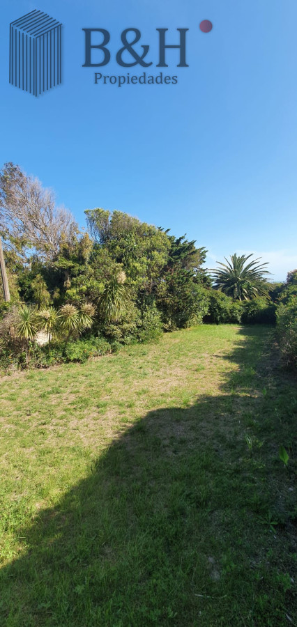 Local Comercial ID.992 - La Barra (local y casa)