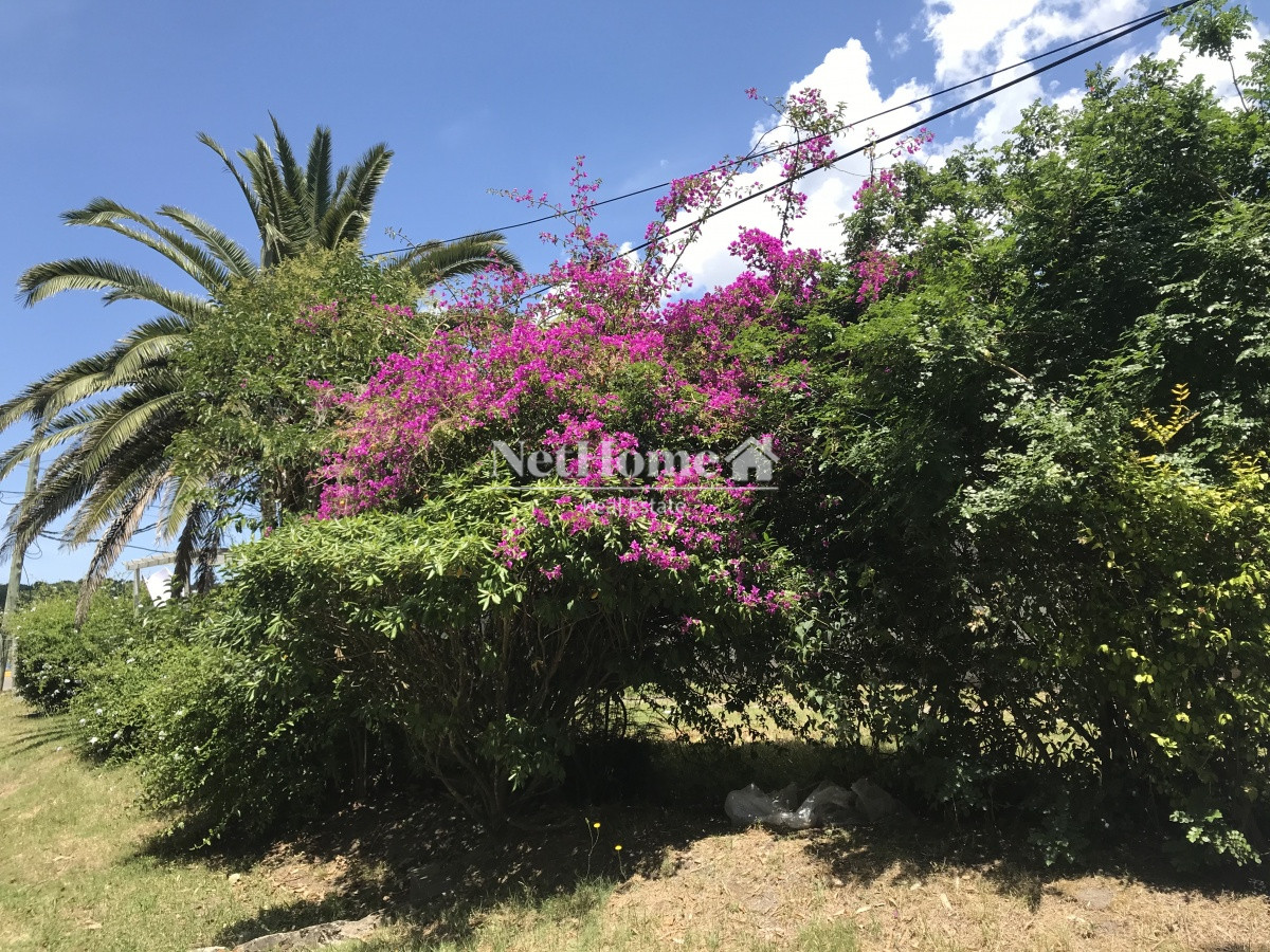 Casa ID.54 - La Barra Casa 3 dormitorios Vista al arroyo