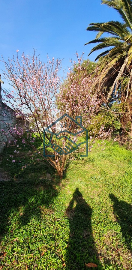 Casa ID.1490/Casa-en-Centro-de-San-Carlos - Casa en Centro de San Carlos