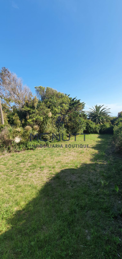 Local Comercial ID.576/ - La Barra (local y casa)