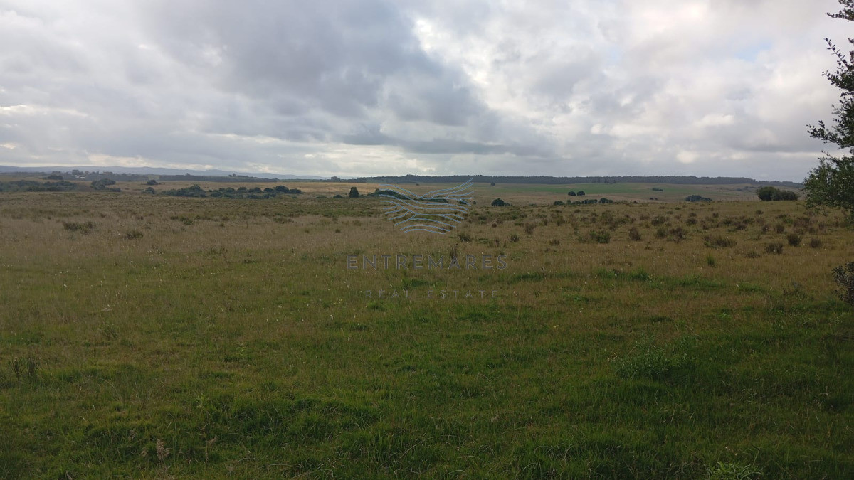 Campo Ref.462 - Garzón (campo turístico)