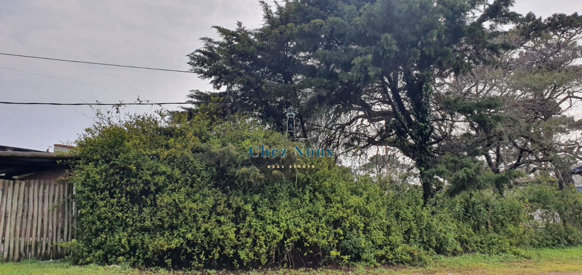 Casa ID.642 - Punta Este, zona Parada 5