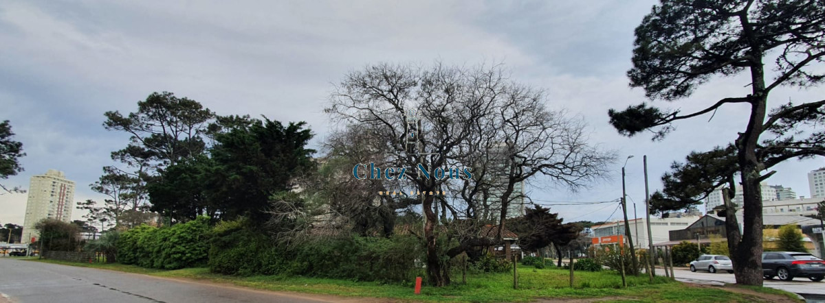Casa ID.642 - Punta Este, zona Parada 5