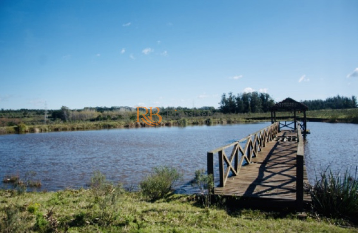 Chacra ID.97 - Chacra importante en R. 39 con 700 m2. construidos