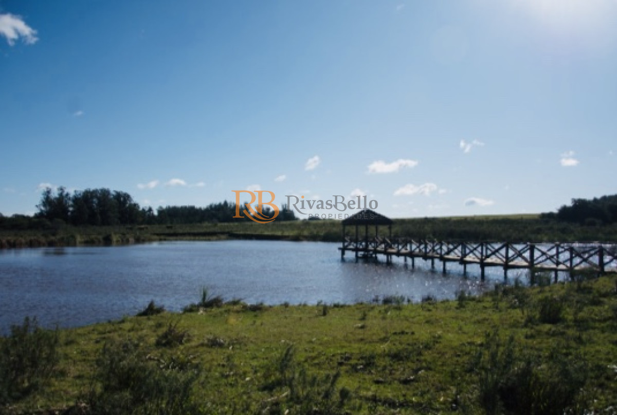Chacra ID.97 - Chacra importante en R. 39 con 700 m2. construidos