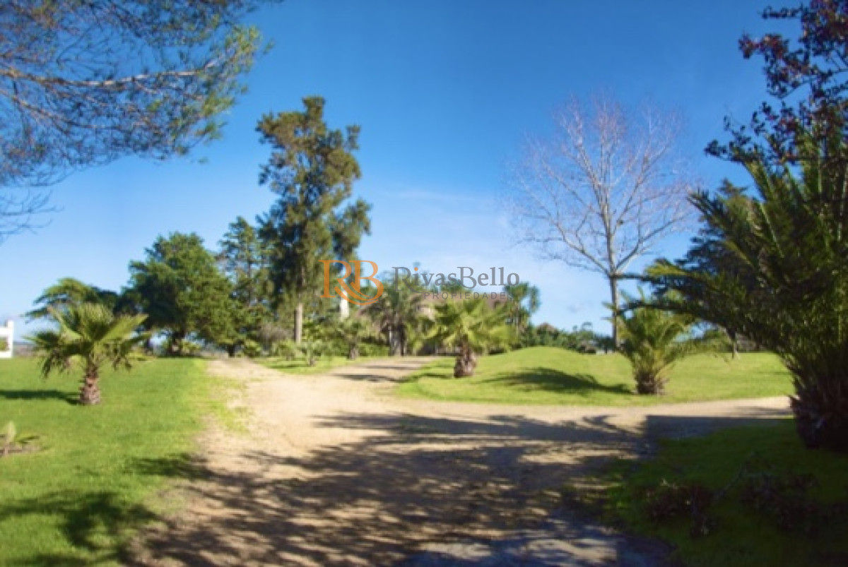 Chacra ID.97 - Chacra importante en R. 39 con 700 m2. construidos