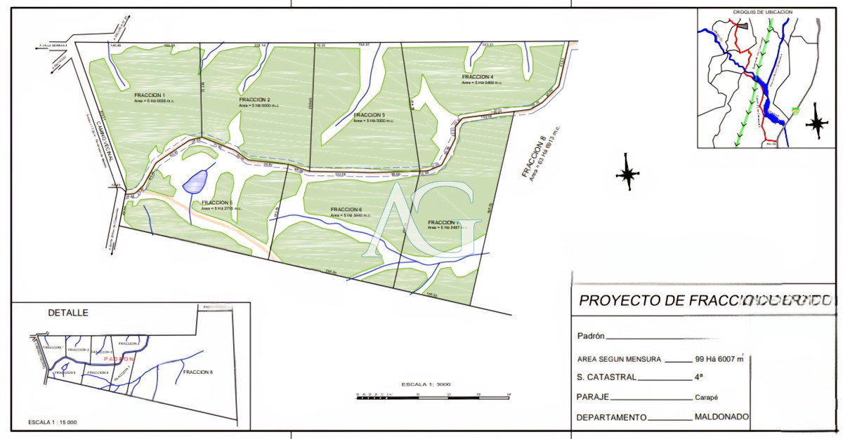 Campo Ref.237 - Carapé Campo parcialmente forestado