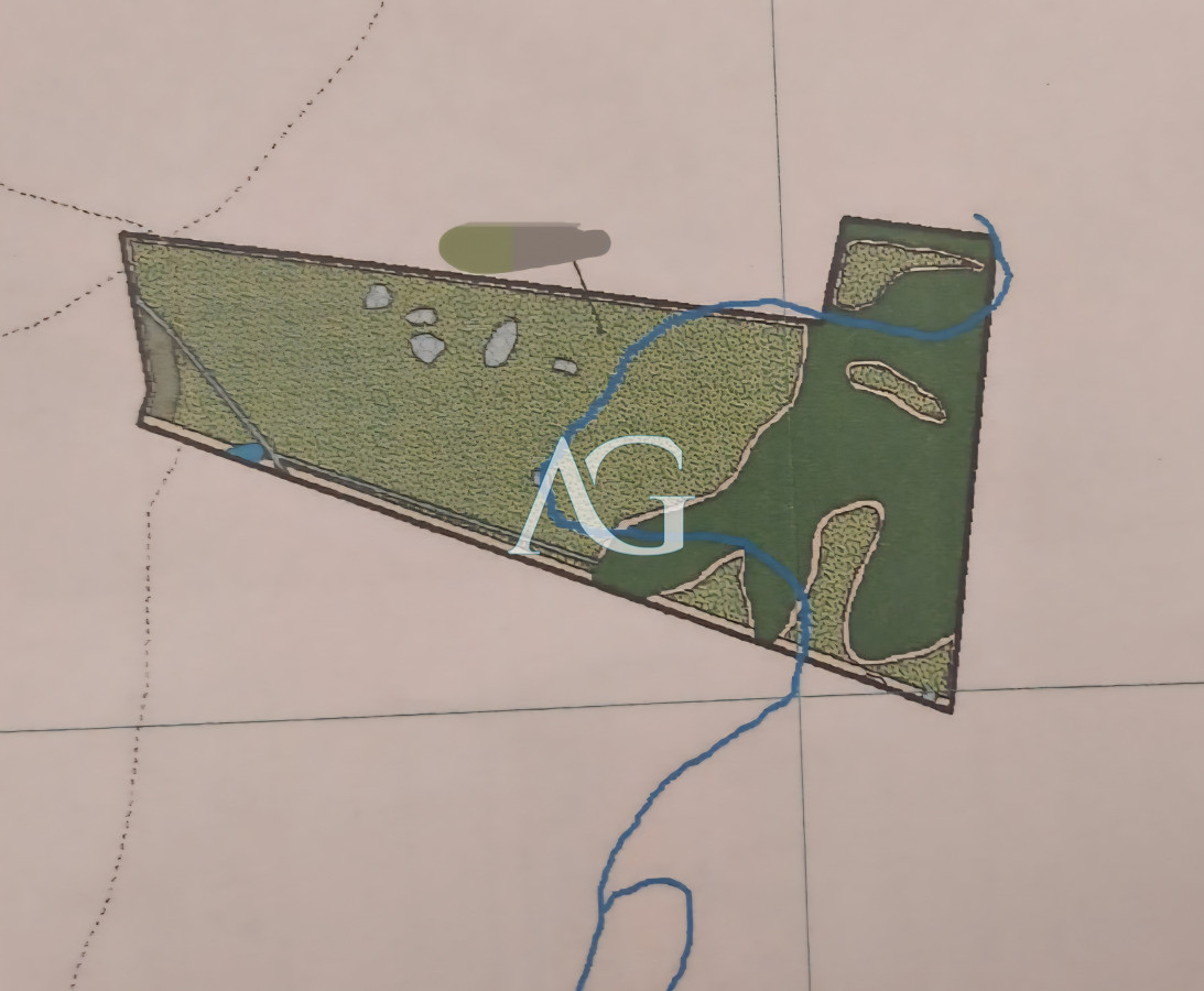 Campo Ref.237 - Carapé Campo parcialmente forestado