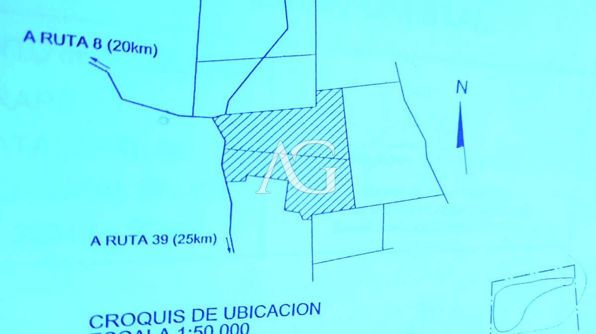 Campo Ref.237 - Carapé Campo parcialmente forestado