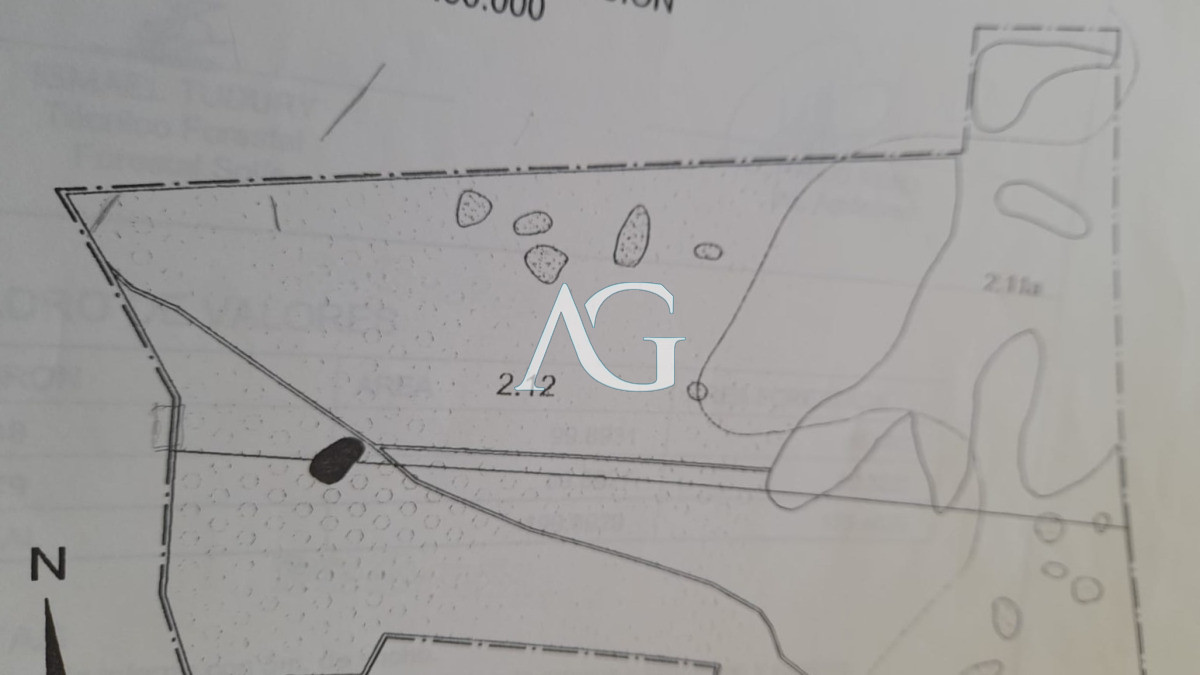 Campo Ref.237 - Carapé Campo parcialmente forestado