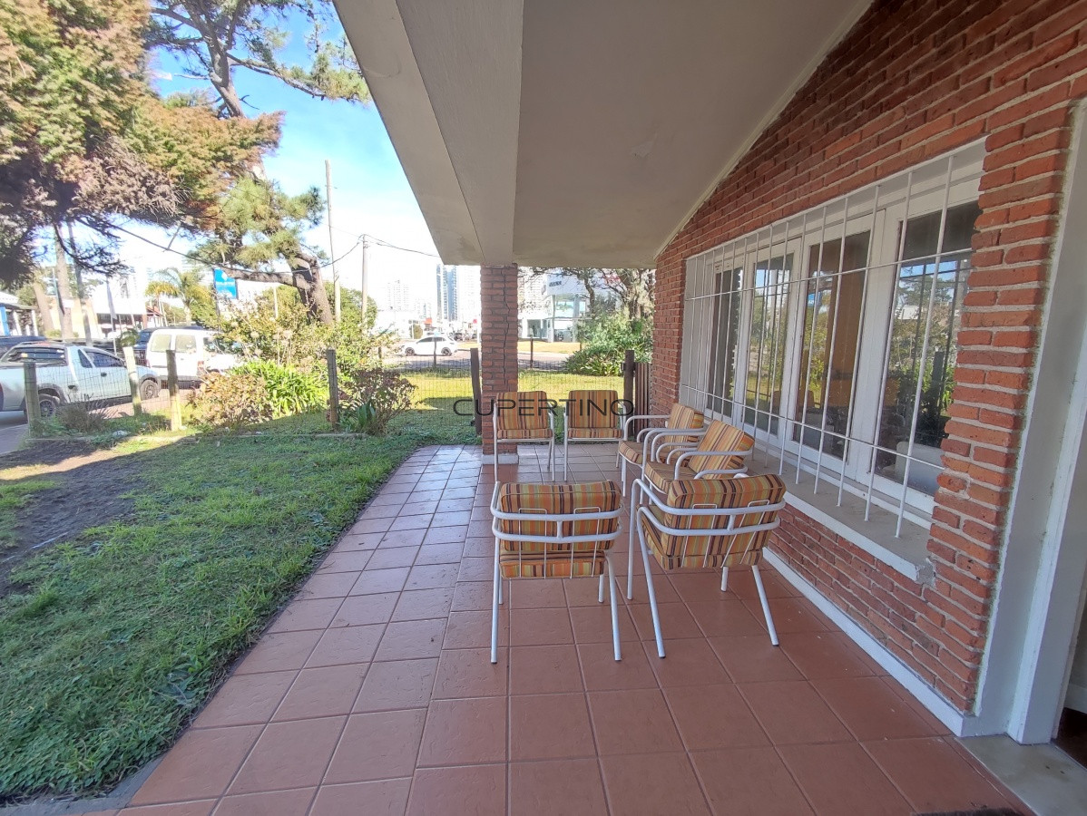 Punta Este, zona Parada 5 — foto 70