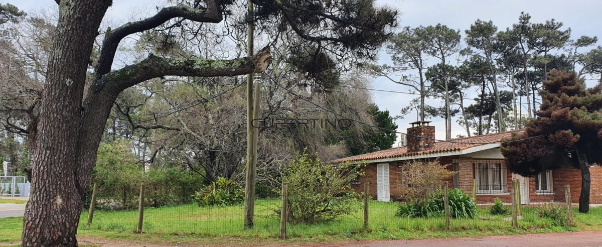 Punta Este, zona Parada 5 — foto 43