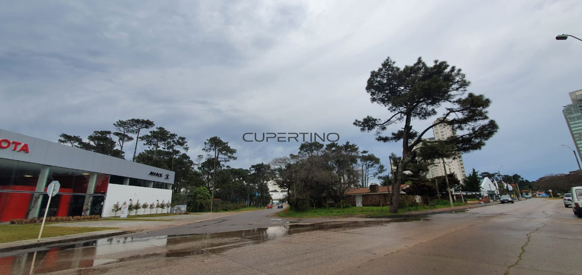 Punta Este, zona Parada 5 — foto 28