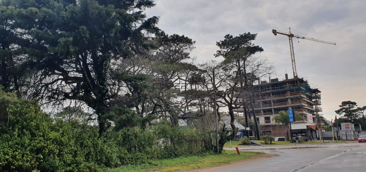 Punta Este, zona Parada 5 — foto 41