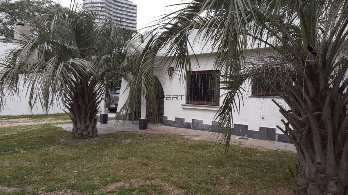 Casa en Punta del Este, Pine Beach — foto 8