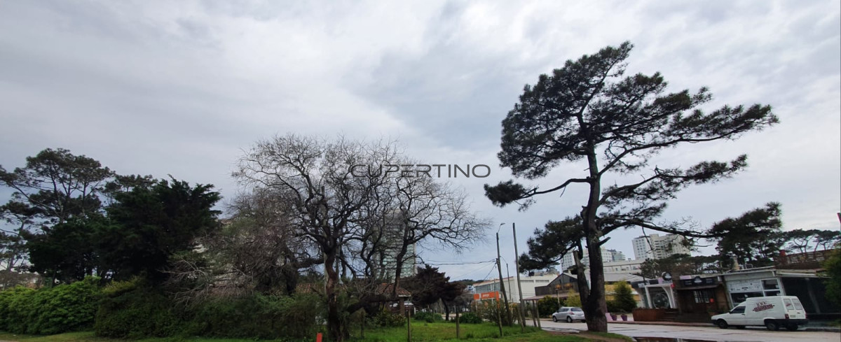Punta Este, zona Parada 5 — foto 36