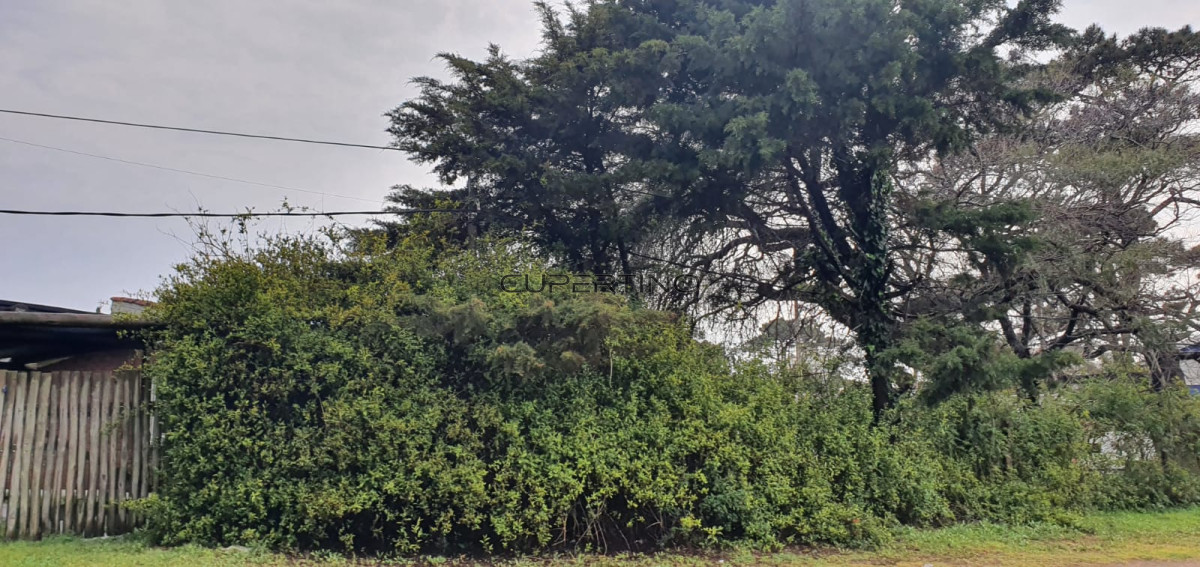 Punta Este, zona Parada 5 — foto 40