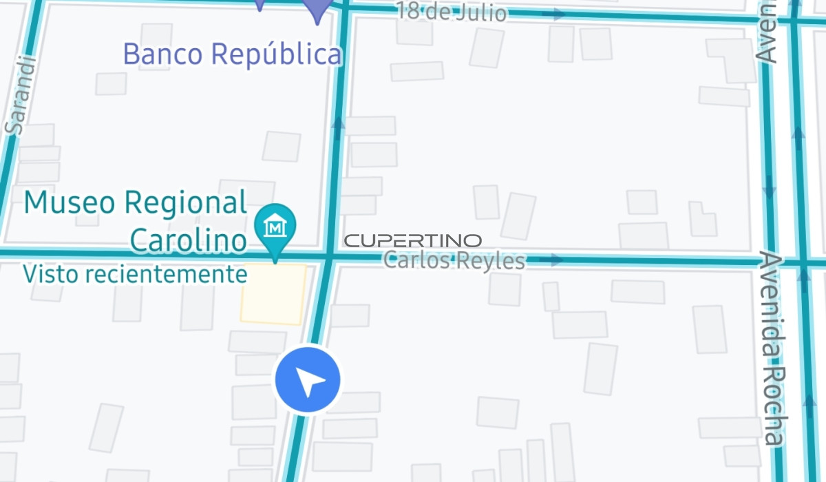 Casa en San Carlos, Centro San Carlos — foto 4