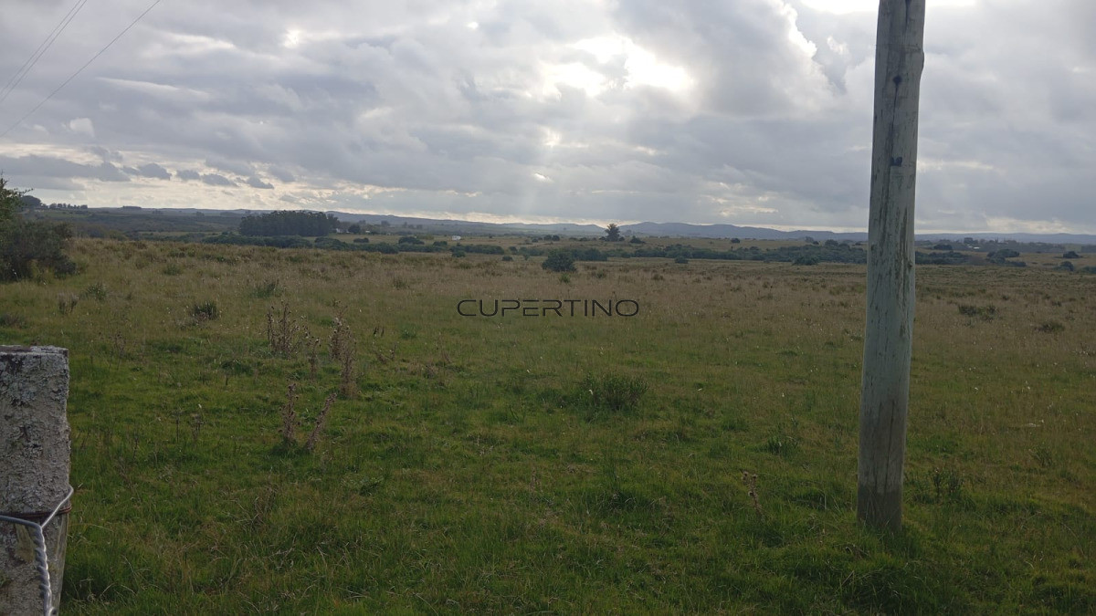 Campo en Garzón, — foto 1