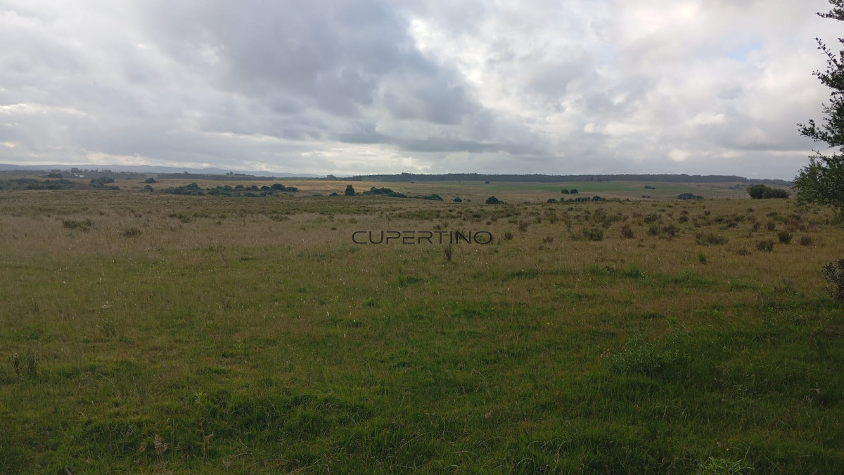 Campo en Garzón, — foto 3