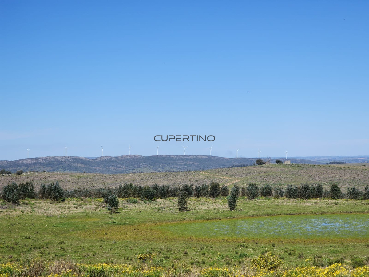 Campo en Zona Rural, — foto 11