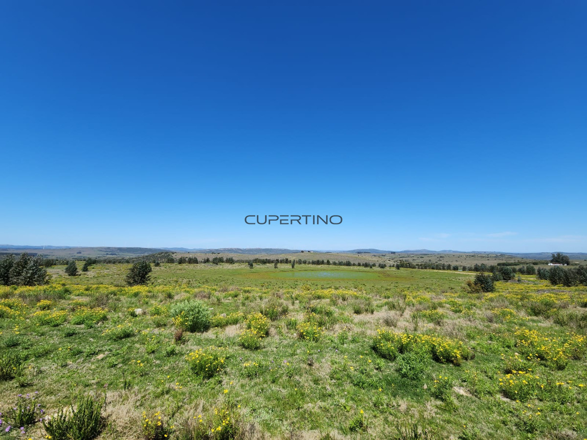 Campo en Zona Rural, — foto 2