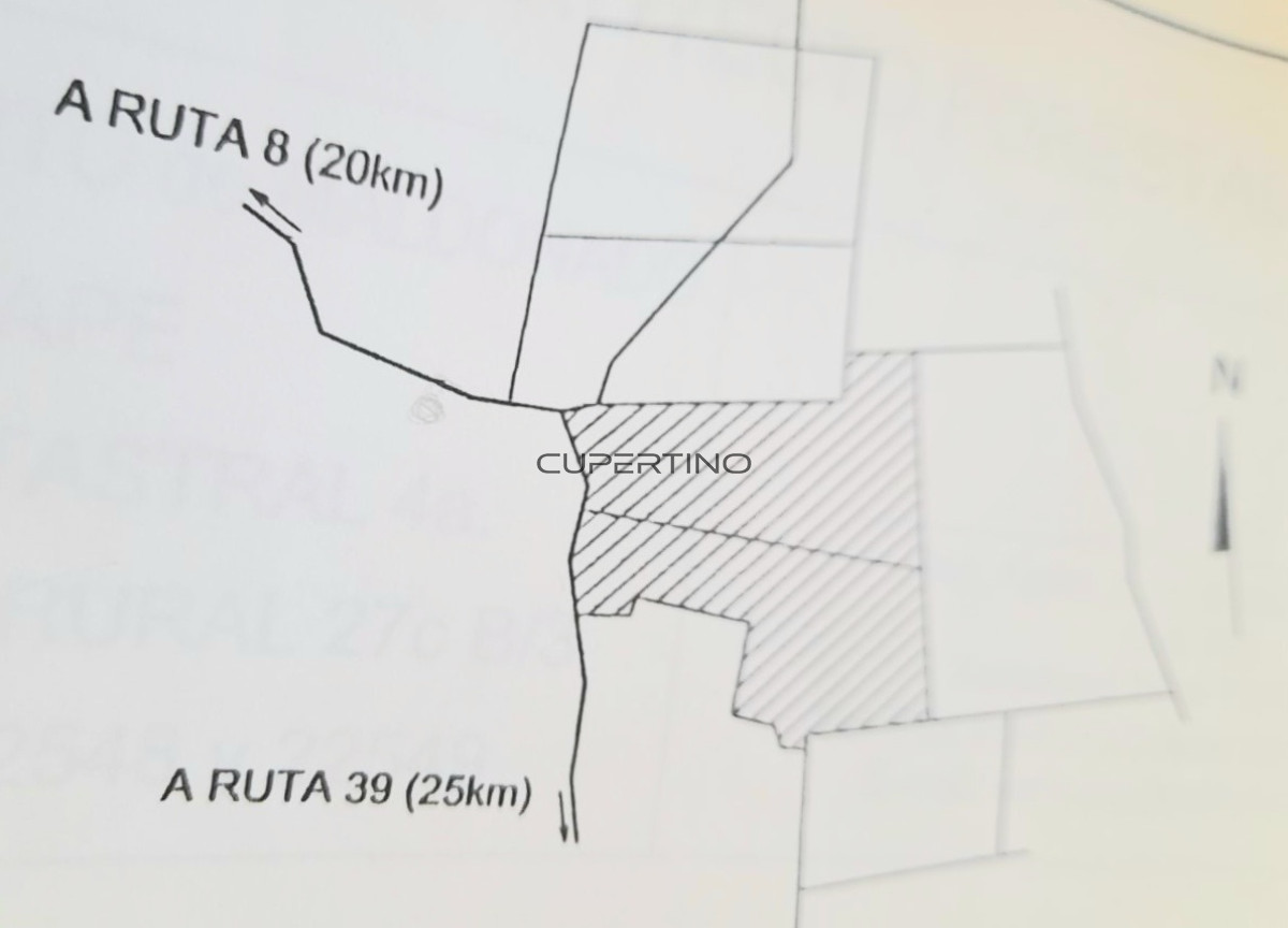 Campo en Zona Rural, — foto 6