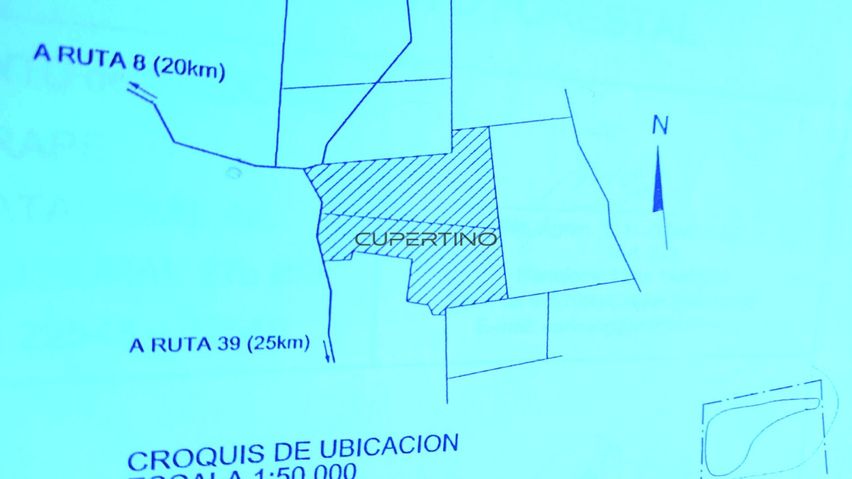 Campo en Zona Rural, — foto 12