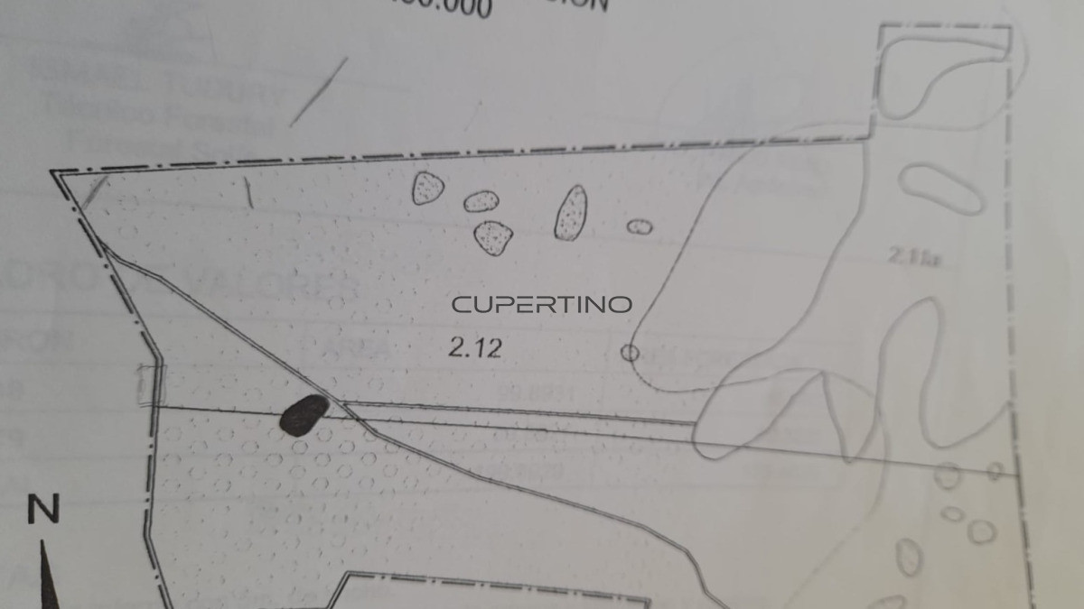 Campo en Zona Rural, — foto 10