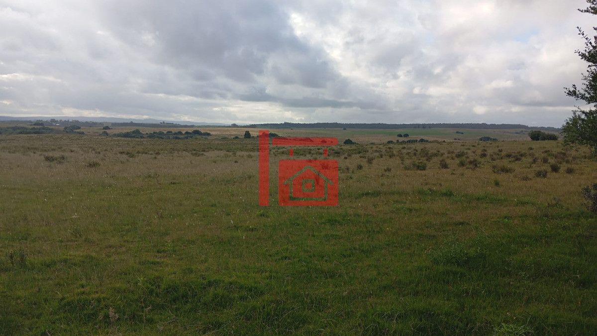 Campo Ref.885 - Garzón (campo turístico)