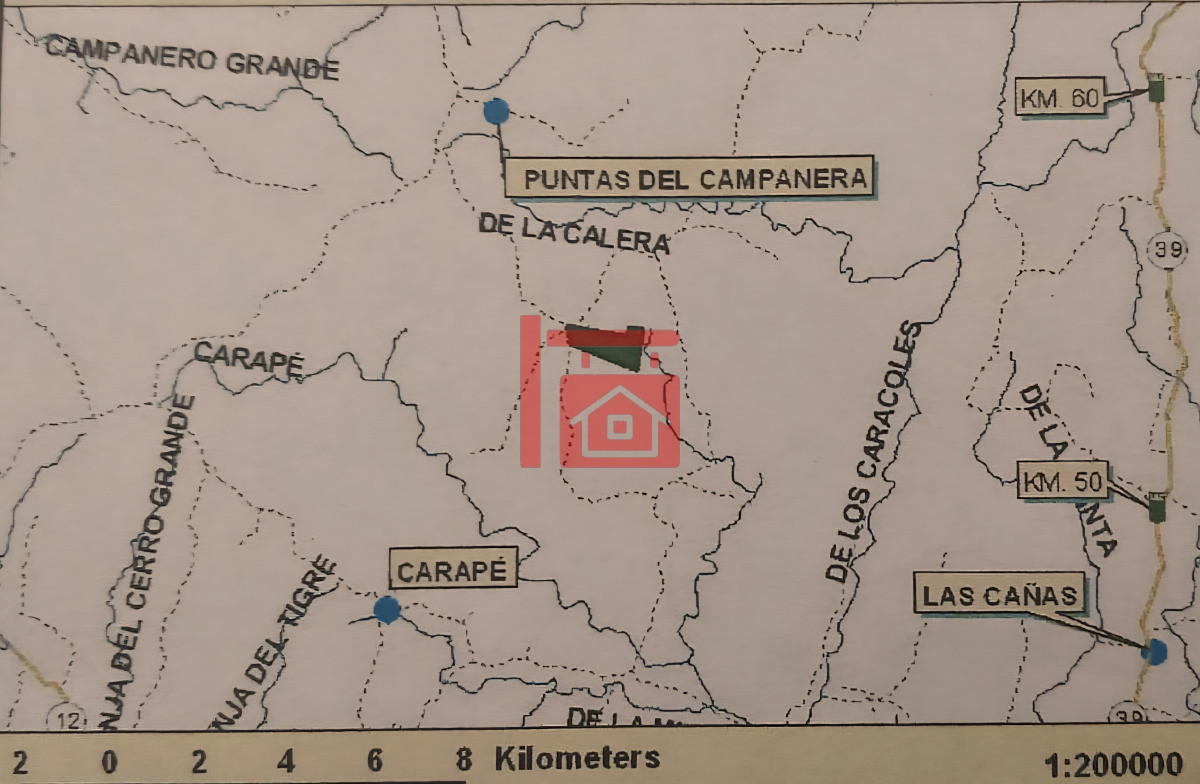 Campo Ref.543 - Carapé Campo parcialmente forestado