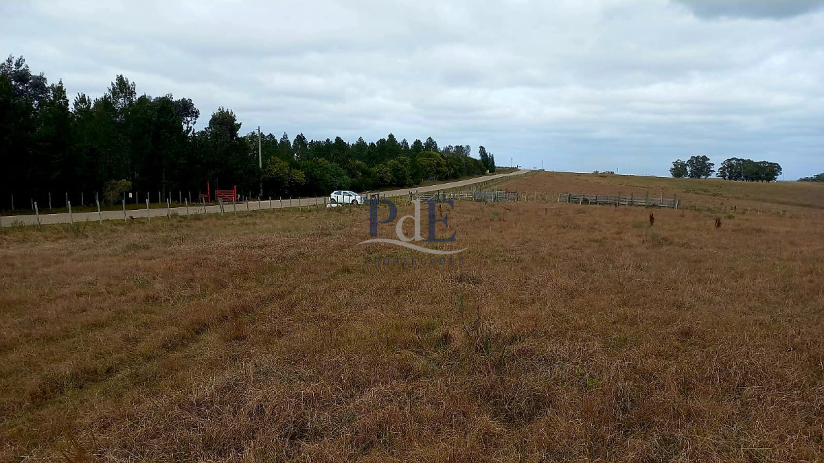 52 Hectáreas con Potencial Productivo y Turístico.