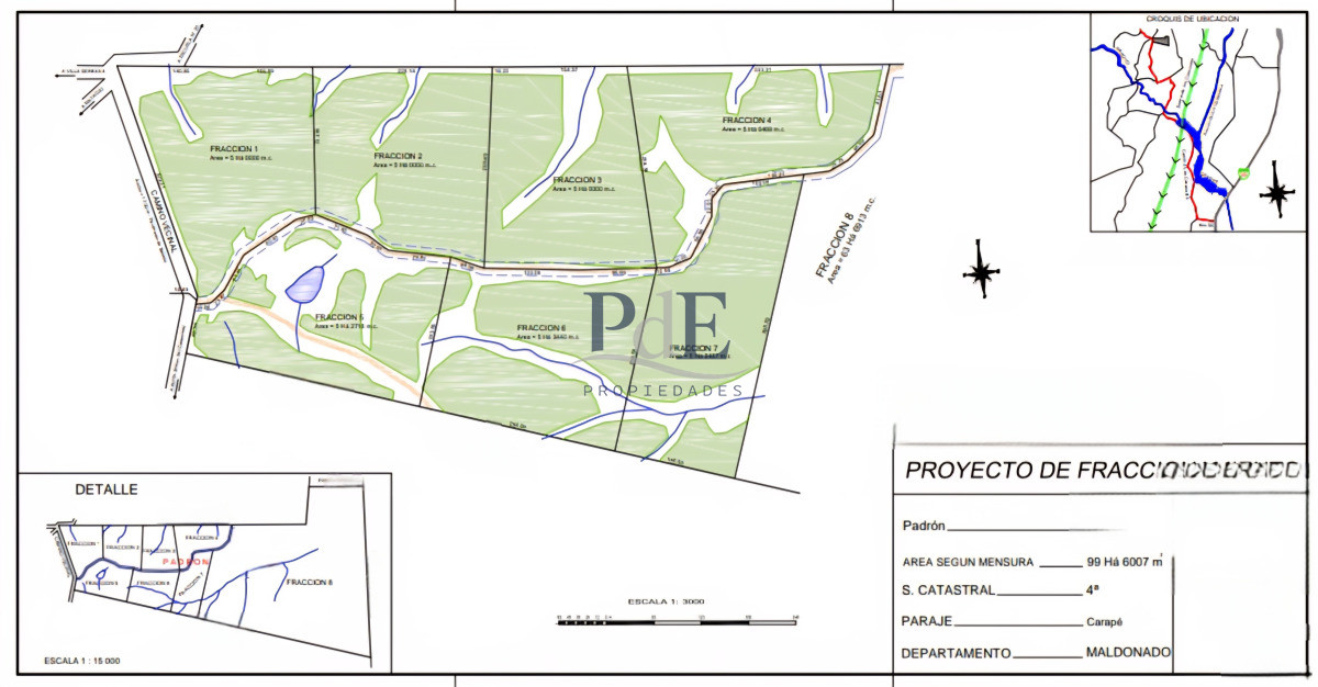 Campo en Venta , paraje Carapé. Con forestación. - Imagen 13