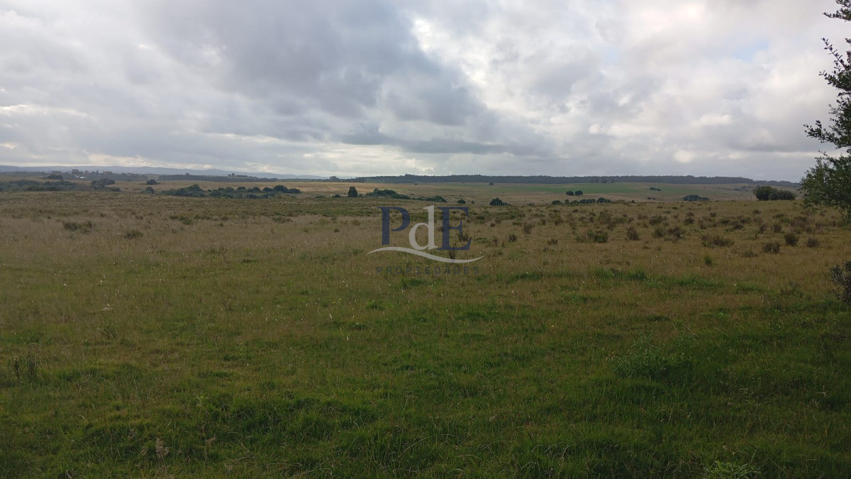 Garzón (campo turístico) 25 hectáreas en Zona Garzón, Maldonado. - Imagen 2