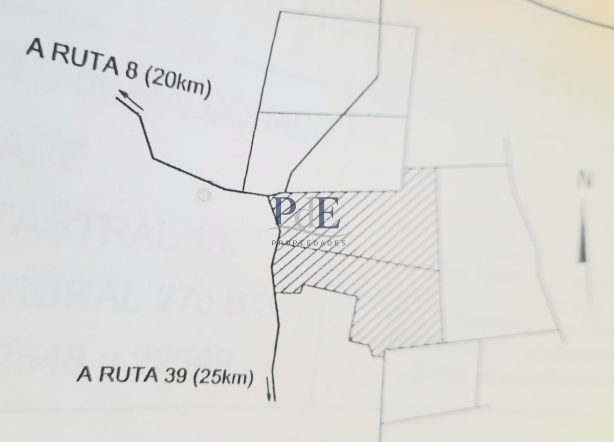 Campo en Venta , paraje Carapé. Con forestación. - Imagen 6